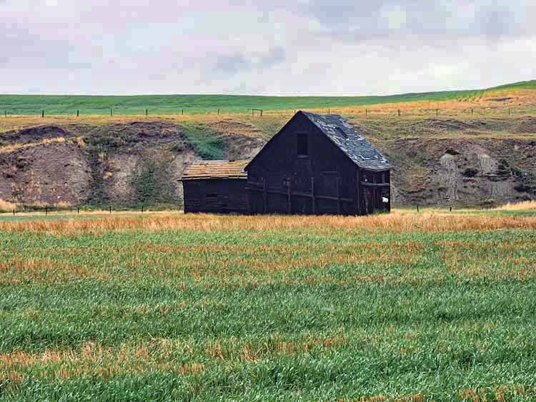 Alberta countryside